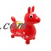 Toymarketing International Gymnic Rody Horse Sport, Red   